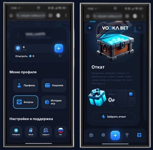 Ежедневный возврат в Vodka Casino