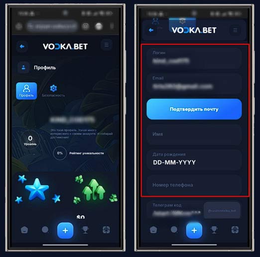 Личный кабинет в Vodka Casino