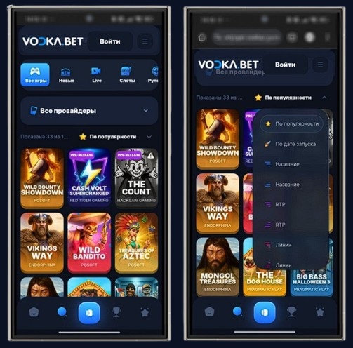 Каталог развлечений в Vodka Casino